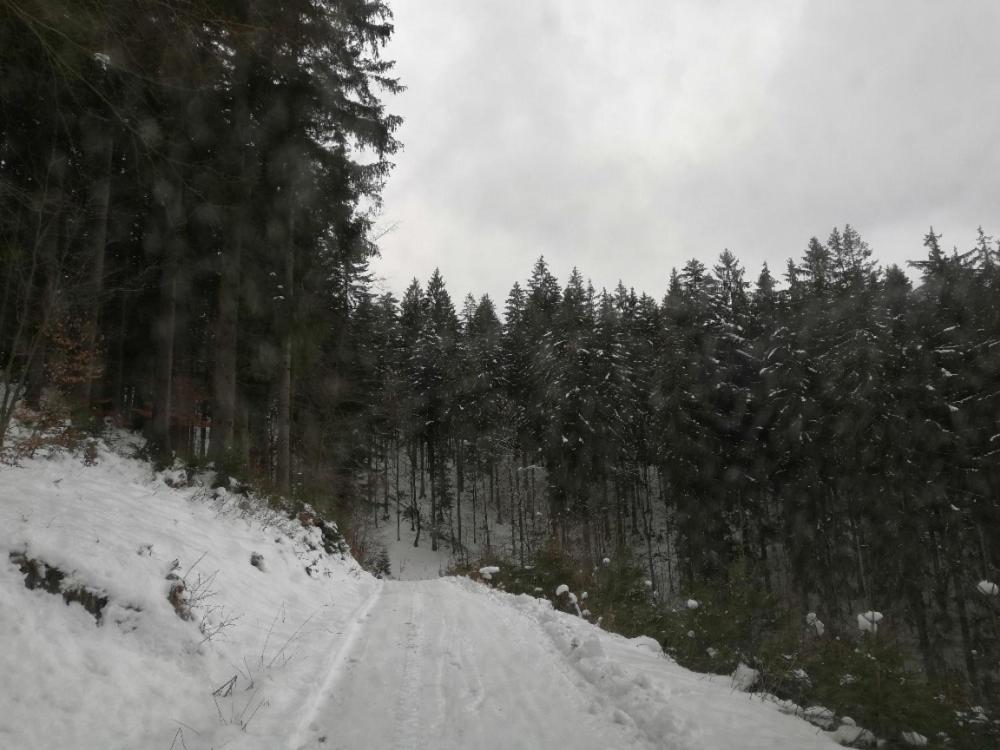 Chaloupka Domek alpejski Karolinka