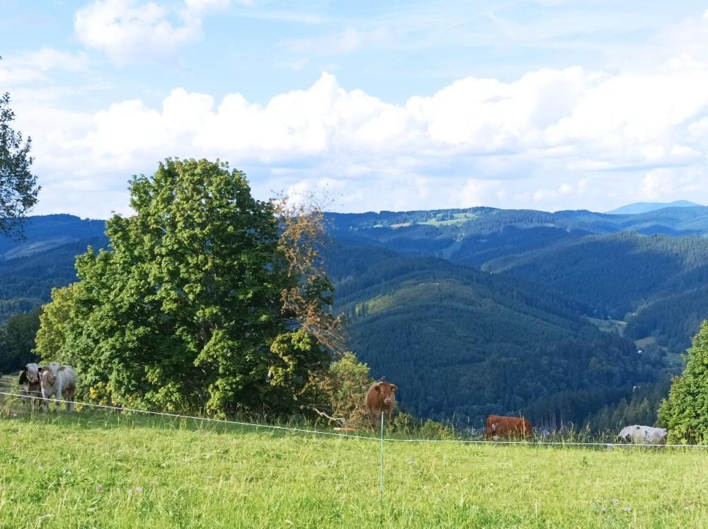 Chaloupka Karolinka